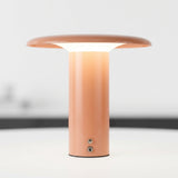 Wide Dome Portable Lamp – detail