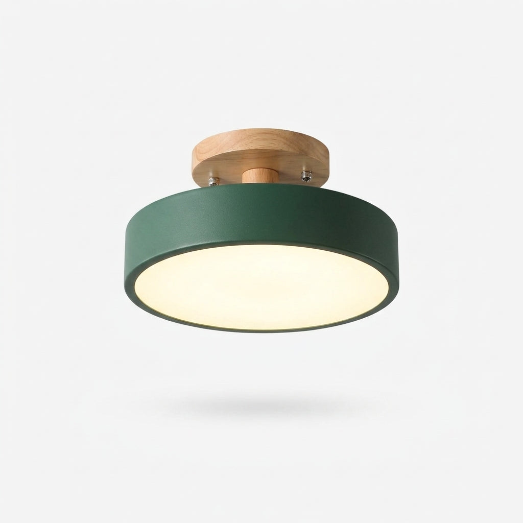 Wood and Acrylic Ceiling Light – Green