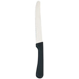 Round Tip Steak Knife with Plastic Handle, 5 Inch Blade -- 12 per Case