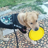 Portable 1000ml Large Collapsible Bowl
