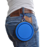 Portable 1000ml Large Collapsible Bowl