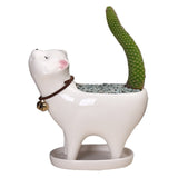 Cute Cat Shaped Ceramic Flower Pot