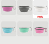 Portable 1000ml Large Collapsible Bowl