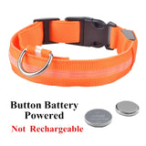 USB Rechargeable Dog LED Glowing Collar