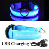 USB Rechargeable Dog LED Glowing Collar